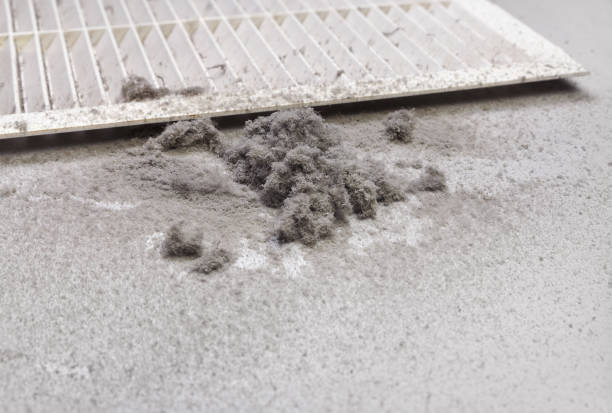 Best HVAC Maintenance and Cleaning  in Jena, LA