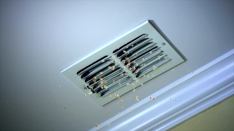 Best HVAC System Cleaning  in Jena, LA